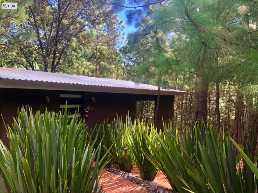 Villa Rincon de Maria Mazamitla Esterno foto